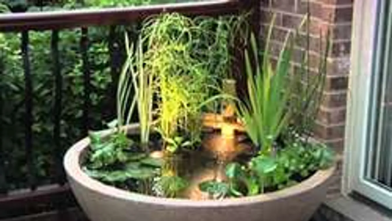 Így készíts szuper minitavat a kertedbe vagy akár a teraszodra is!
