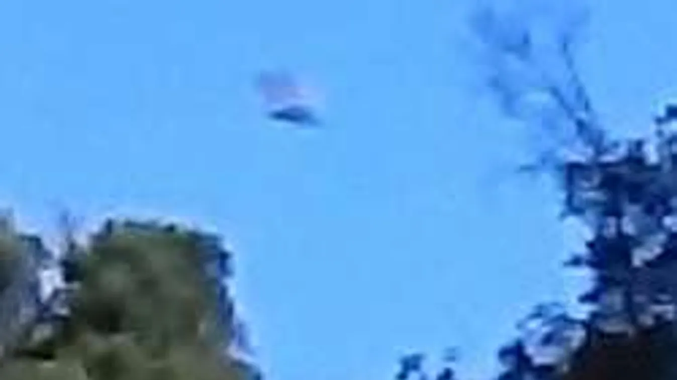 Kigyulladt ufó hajtott végre kényszerleszállást egy sűrű erdőben!