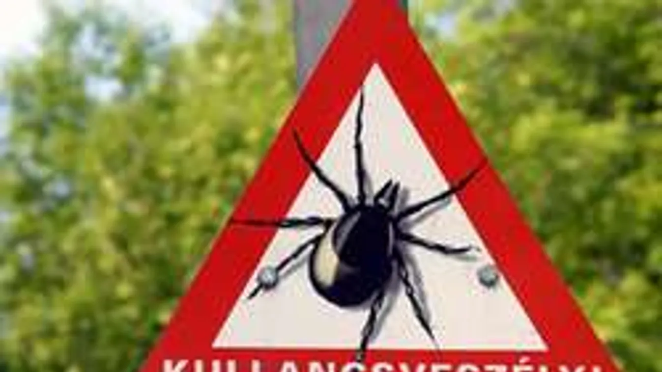 Söpörni lehet a kullancsokat a játszótereken!