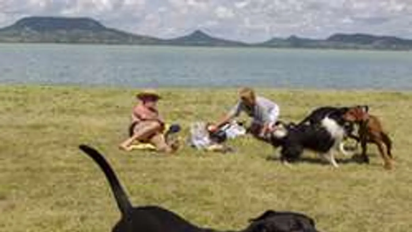 Életbe lépett a hőségriasztás második fokozata, sokan lehetnek rosszul