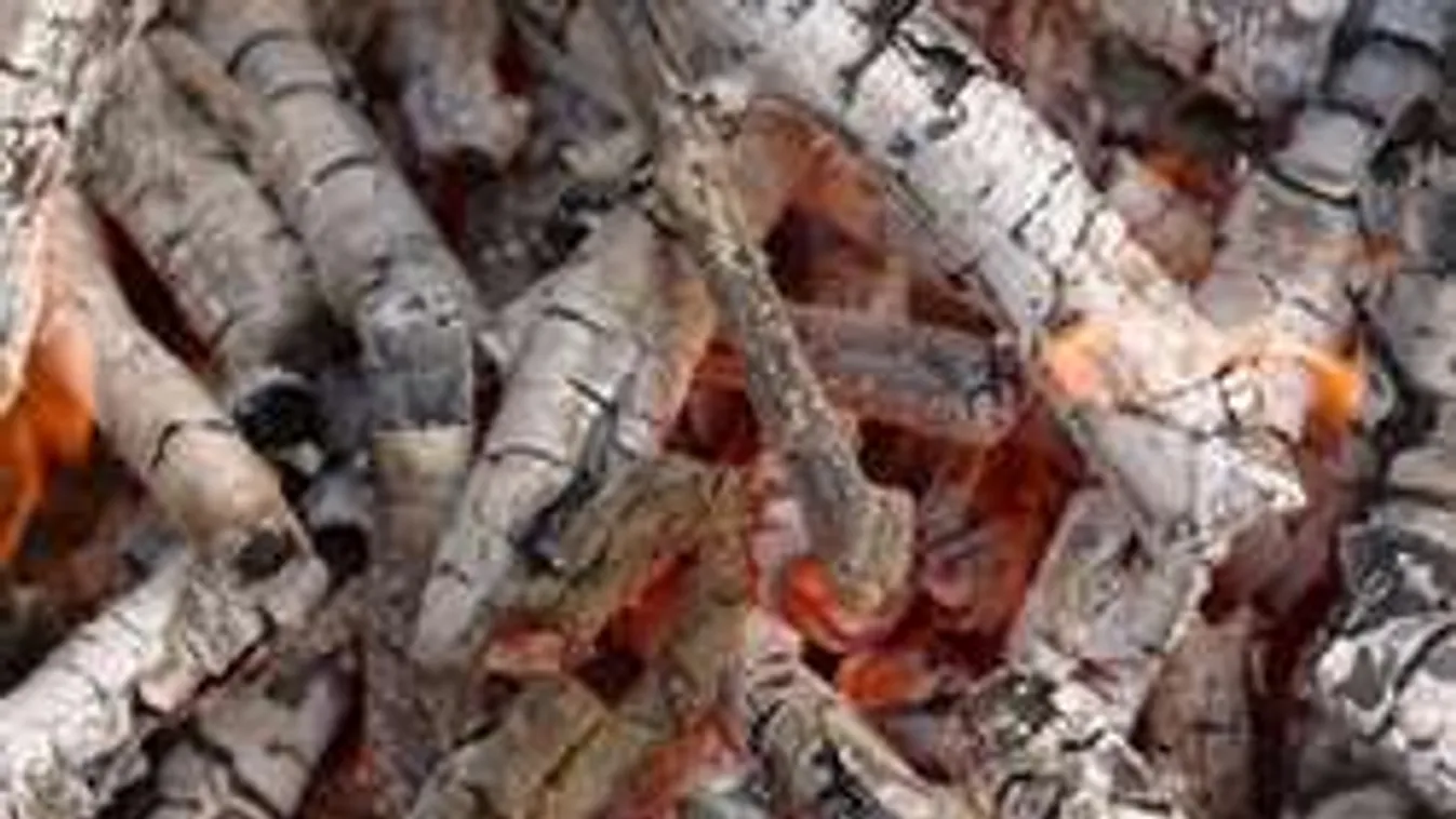 Így használd a hamut a kertben, meghálálják a növényeid