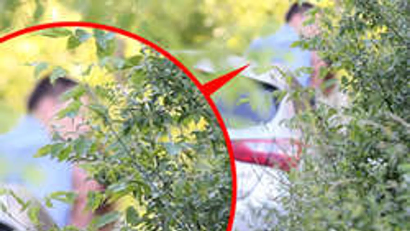 Volner szeretője és a felesége kínos módon kolléganők a Jobbik-frakcióban!