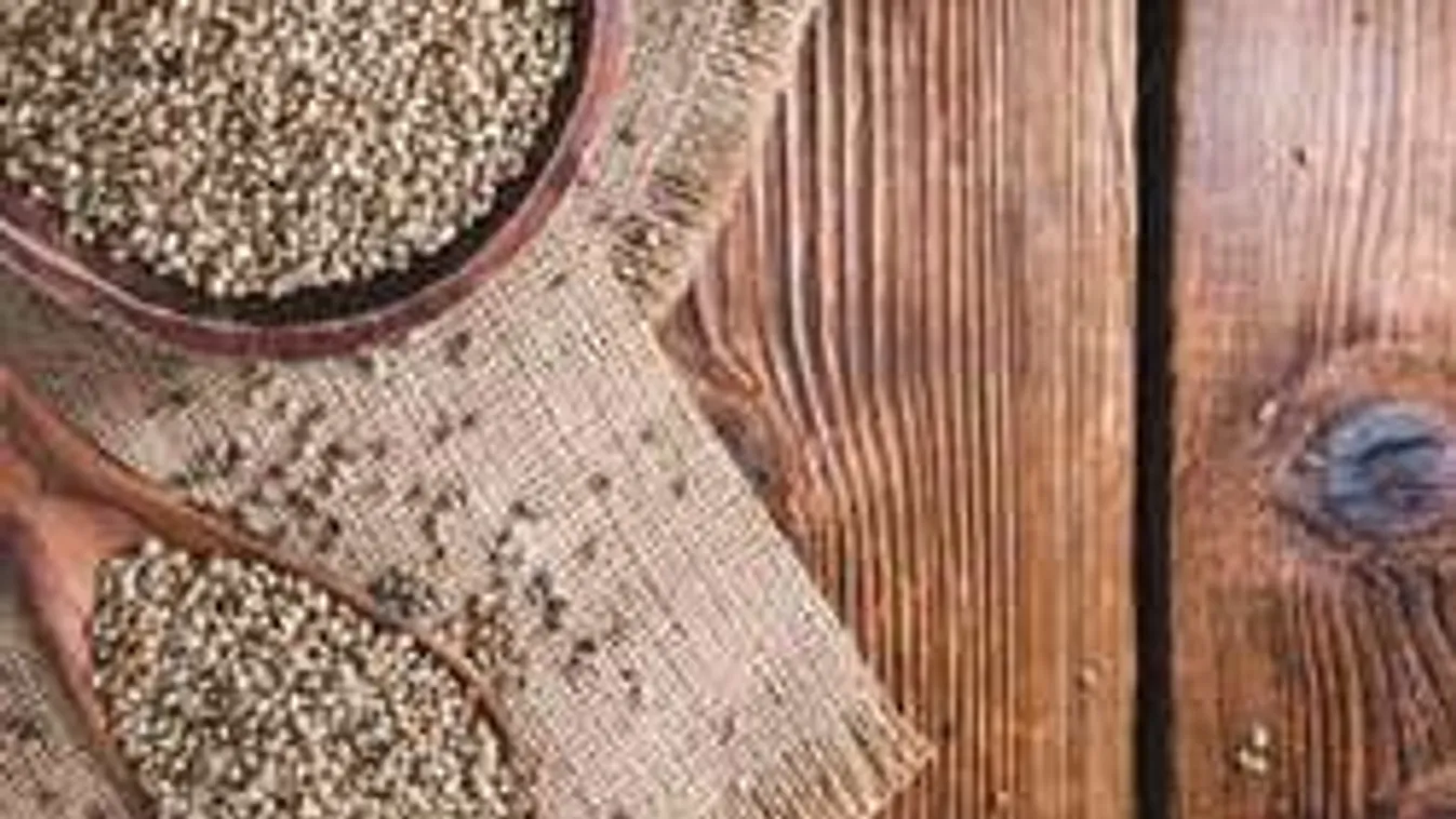 Minden diétázó imádja a legújabb zsírégető magocskát! Ismerd meg te is