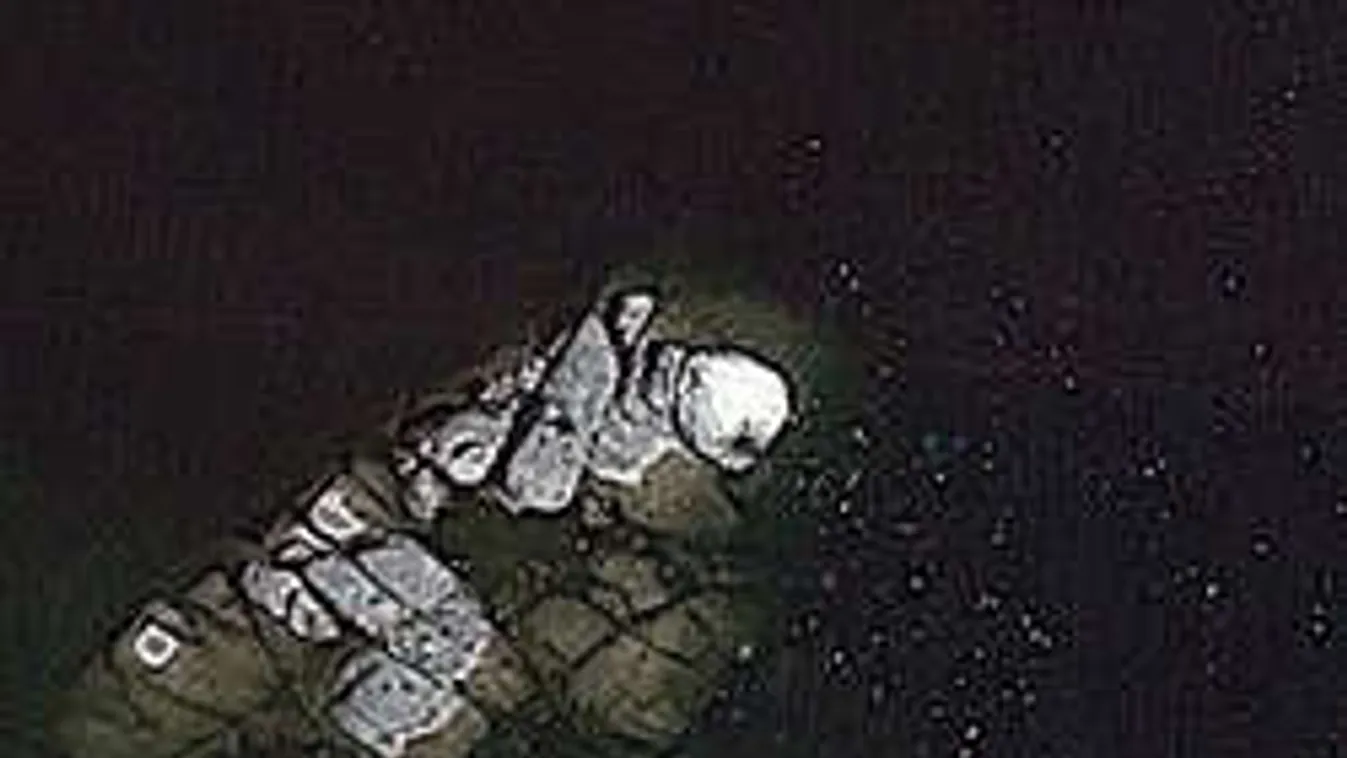 Riasztó: Megtalálták a szigeten rejtőző hátborzongató lényt! - Fotó