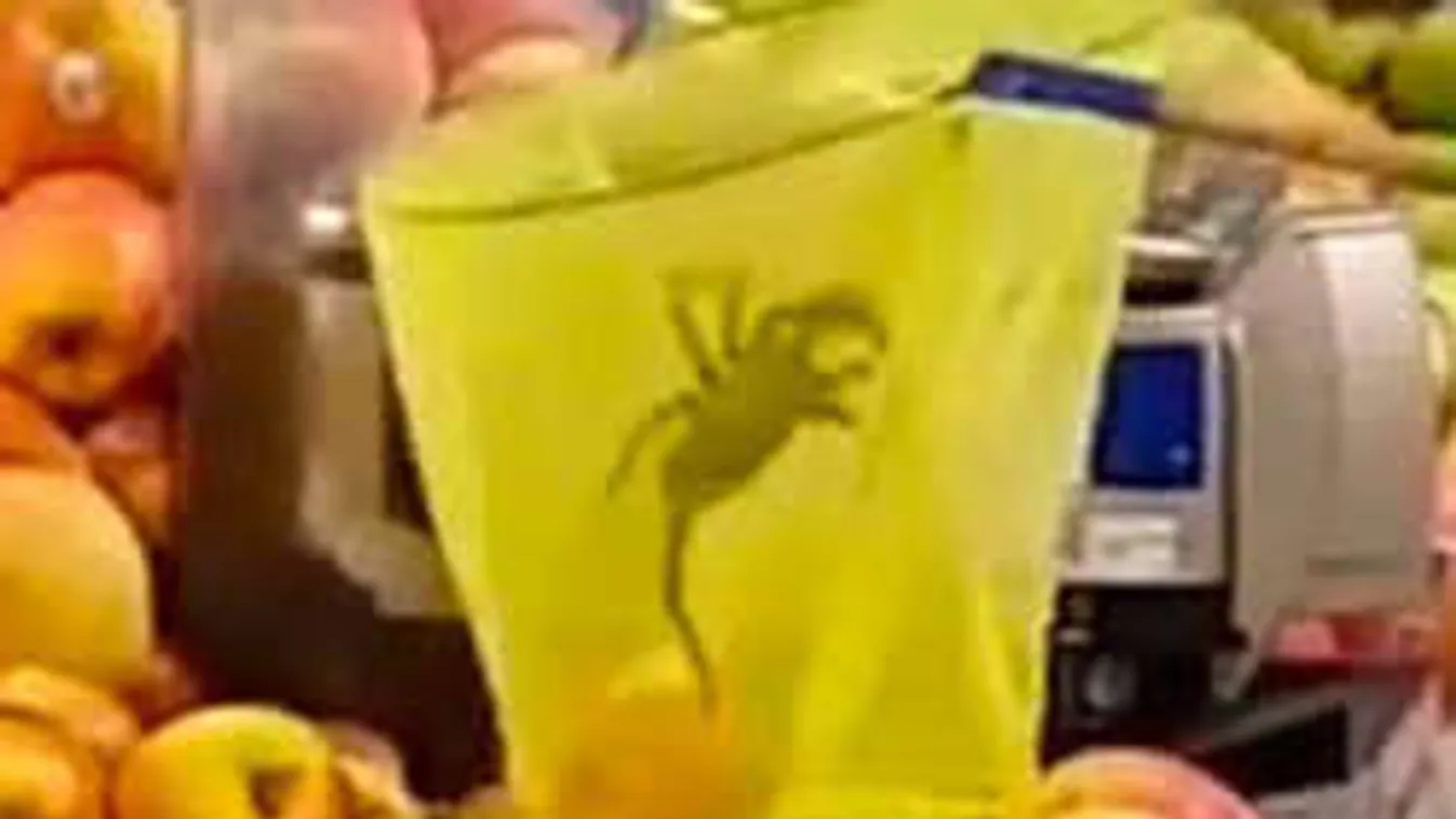 Hátborzongató lény keltett pánikot a piacon! Sokkot kaptak a vásárlók!