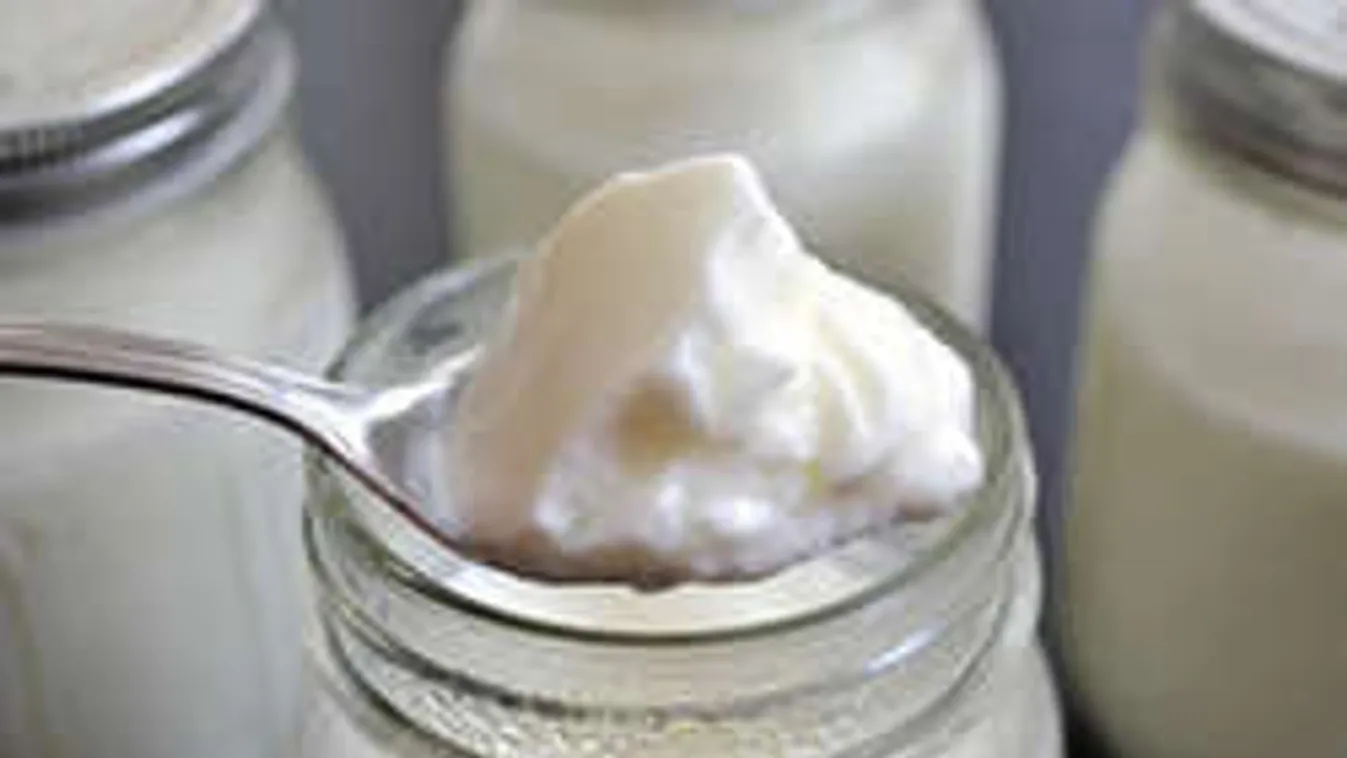 Kefir és joghurt féláron: ez az ősi módszer a titok!