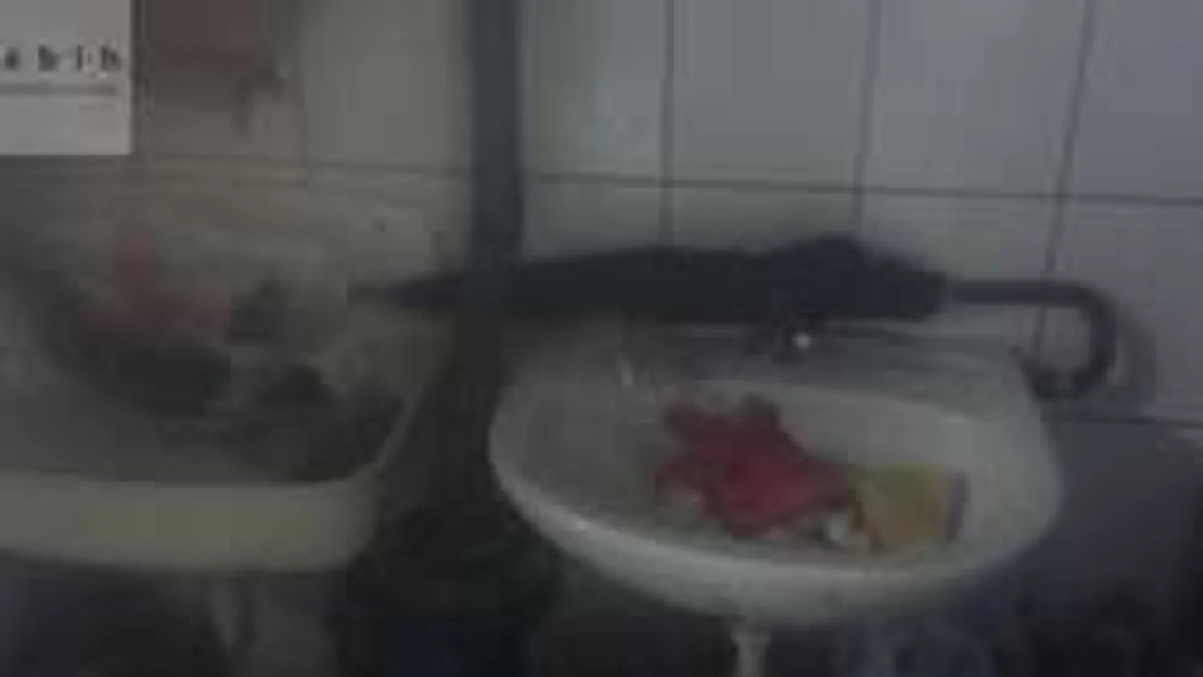 Undorító gyorsétteremre csapott le a Nébih! Azonnal bezáratták! - Fotó