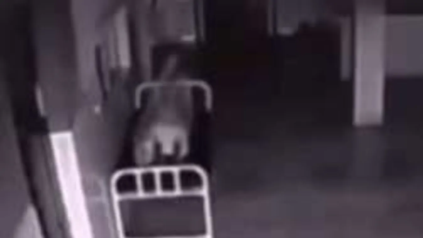 Hátborzongató videó: Így hagyta el szelleme a halott nő testét!