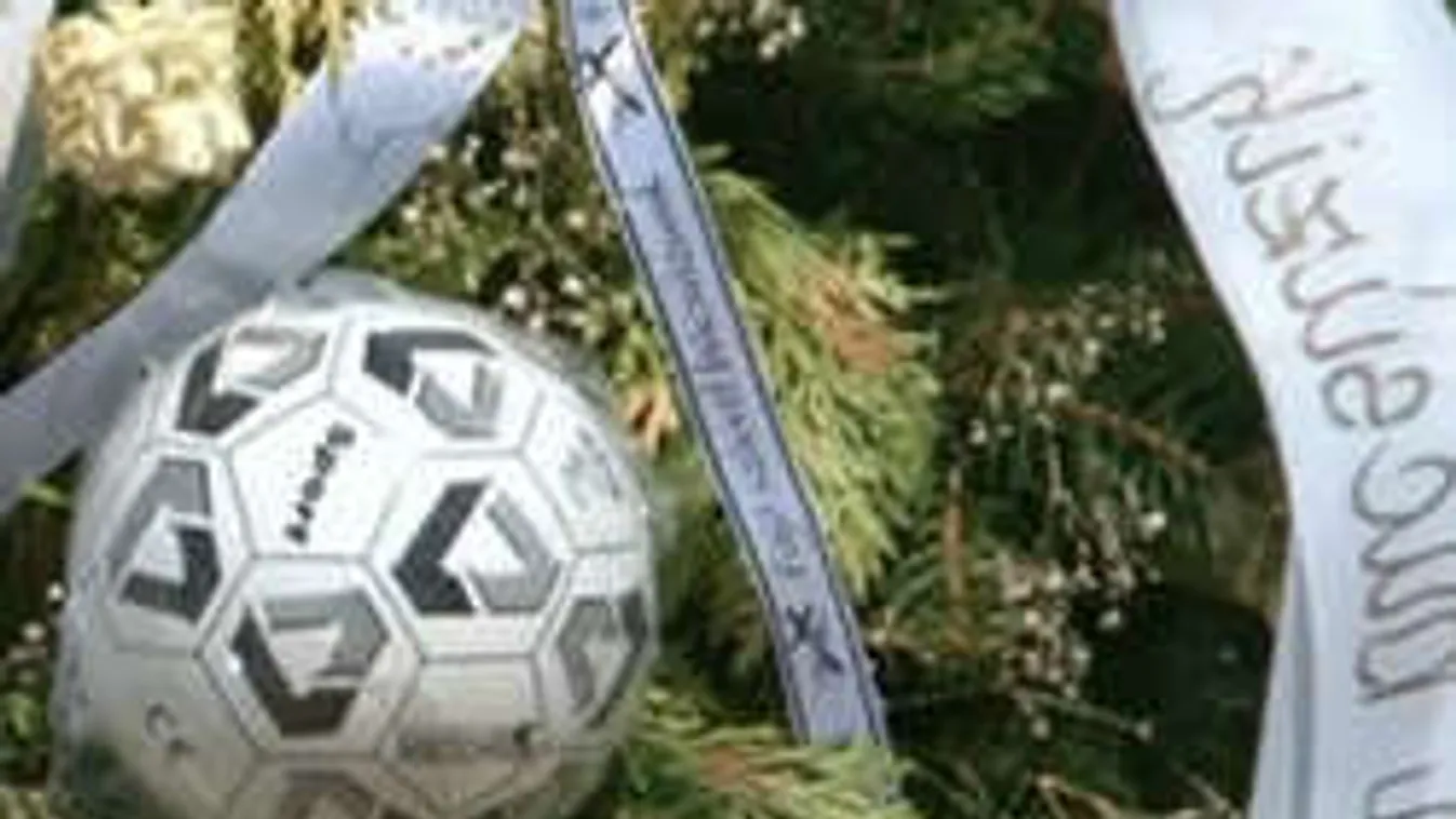 Tragédia: Döbbenetes balesetben hunyt el a tizenegy éves magyar kisfiú