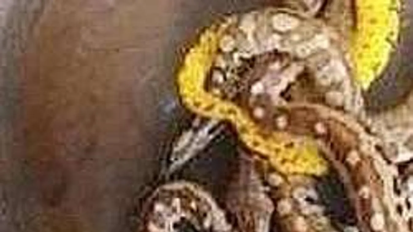 Nem hiszed el, miket rejtett el a nadrágjában az őrült utas! - Fotó