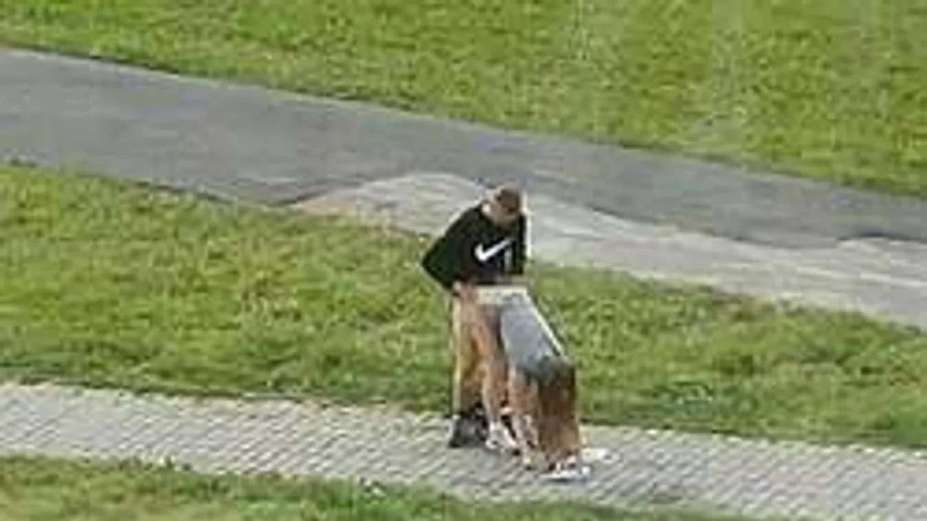 Kéjnyögésekre ébredt a lakótelep: Hajnalban a főutca közepén szexeltek