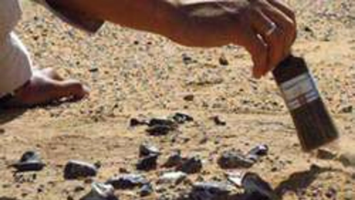 Szenzáció: ettől az aranykincstől a régészek is hanyatt dobták magukat