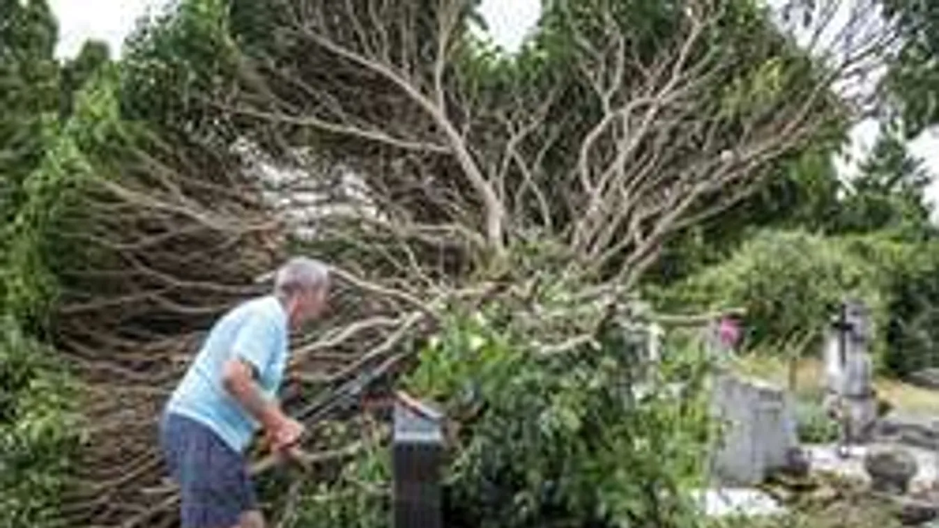 Durva! Kitalálod, hány kárbejelentés érkezett a napokban PERCENKÉNT?