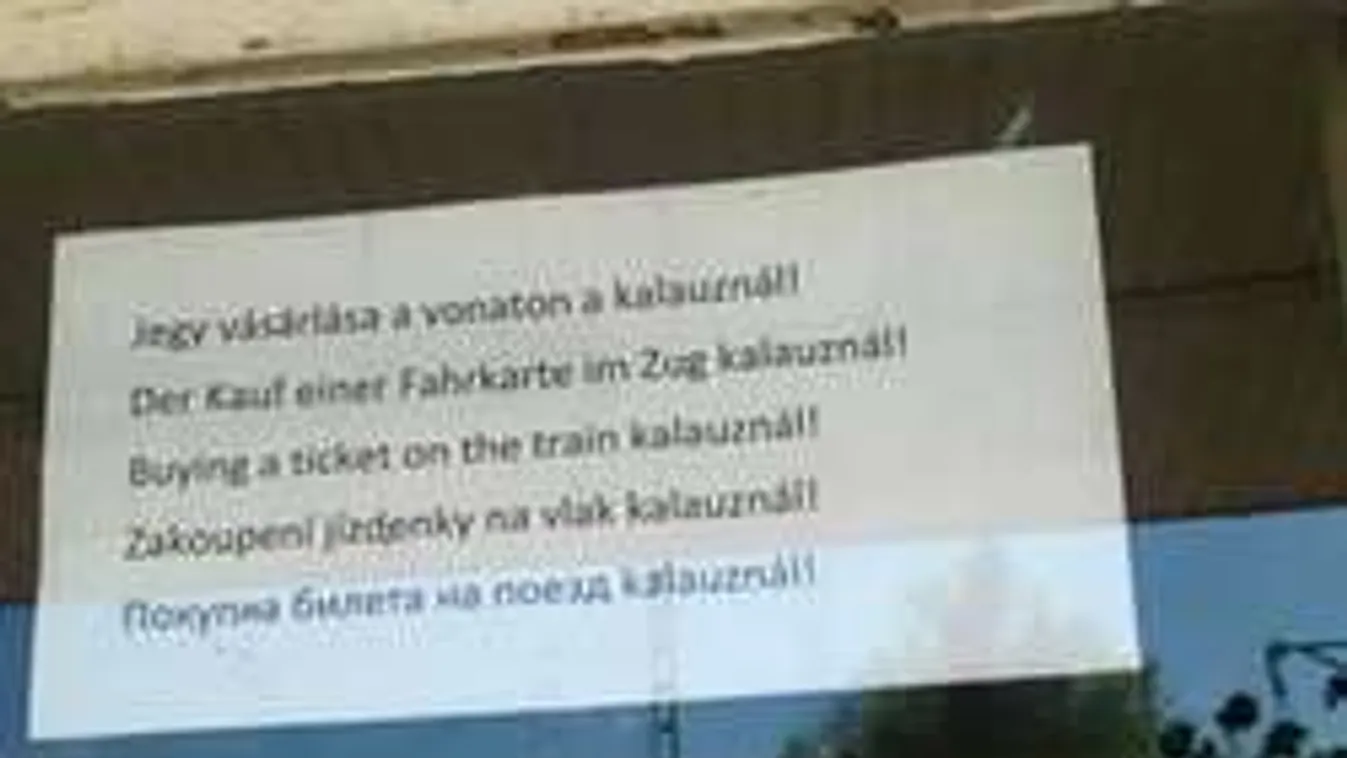 Irdatlan félrefordítás okoz káoszt a vasútállomáson