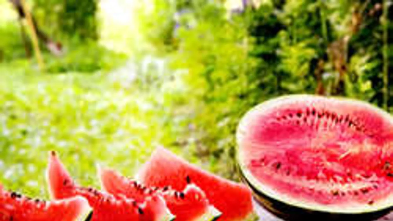 Soha ilyen könnyen nem szeleteltél görögdinnyét! Íme a trükk! - VIDEÓ