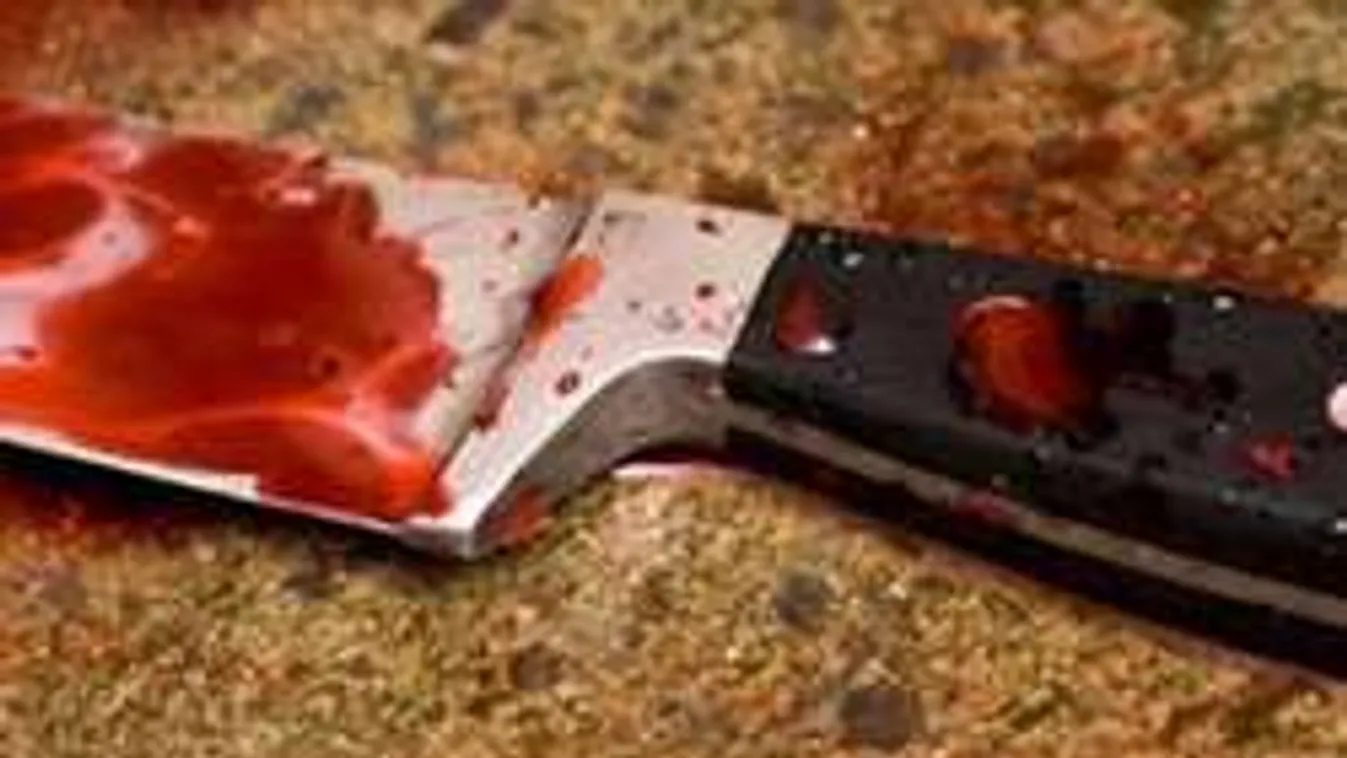 A Facebookon derült fény a vérfagyasztó nyíregyházi gyilkosságra!