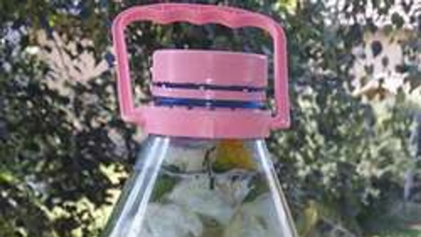 Össztűz zúdult a "savanyúságos" magyar háziasszonyra, kinek van igaza?