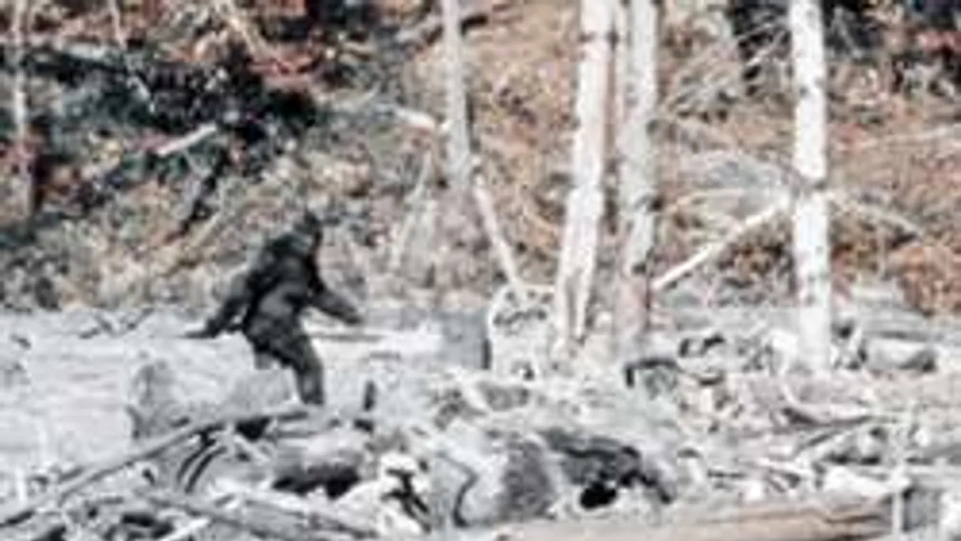 Elmondta a teljes igazságot a leghíresebb jeti-videó készítője!