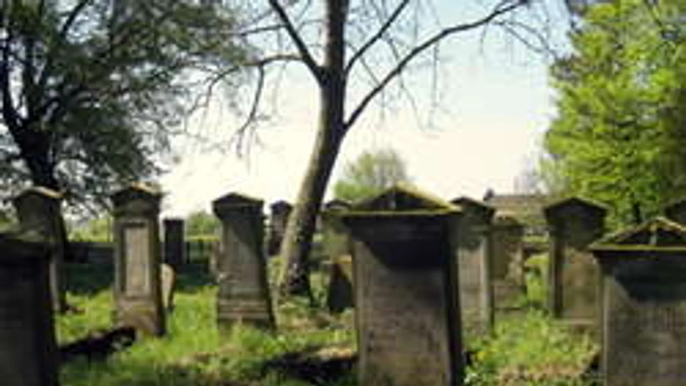 Temetőben erőszakolta meg a migráns a 79 éves nénit