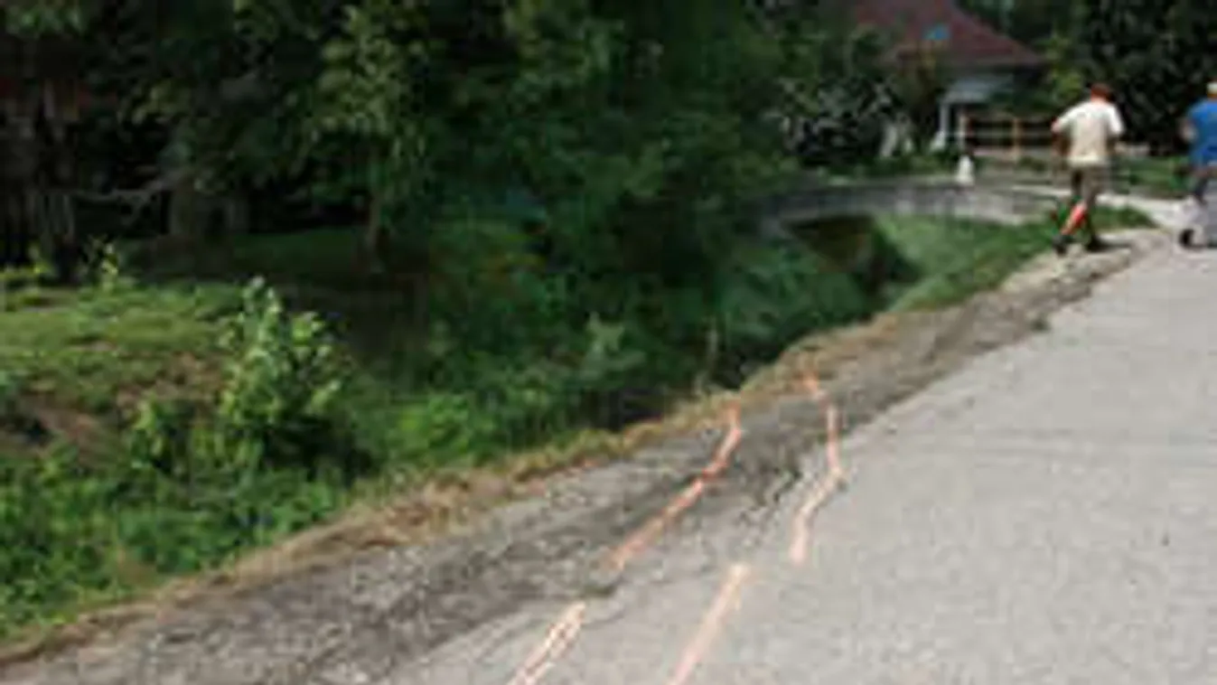 Ezt vallotta elfogása után a gödöllői lány halálát okozó zenész!