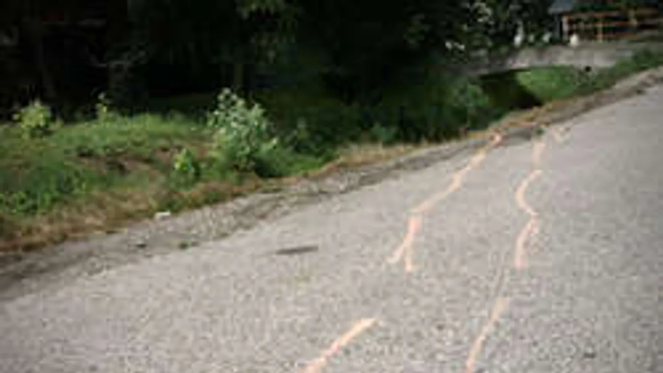 Megvan a vád! Ezért kér büntetést az ügyész a gödöllői lány gyilkosára!