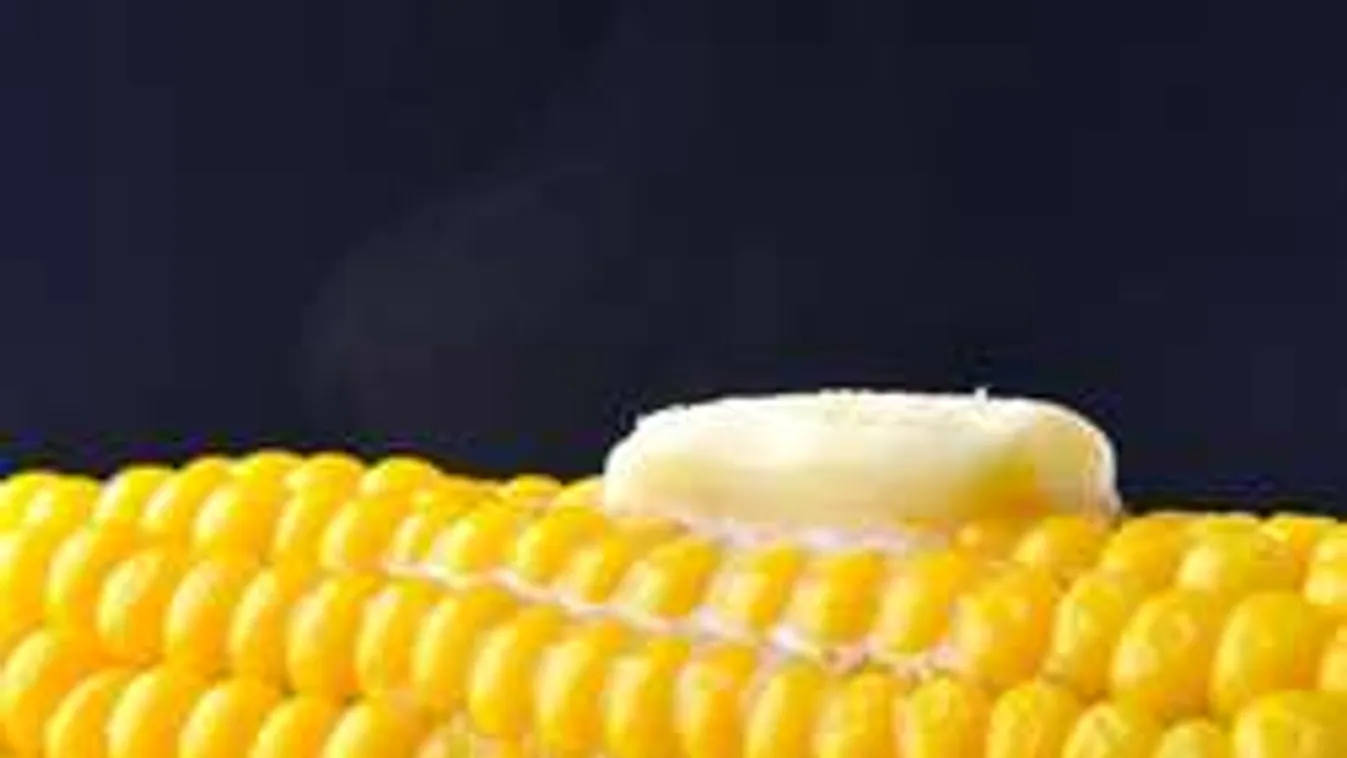 Főztél már tejben kukoricát? Ezért kellene kipróbálnod!