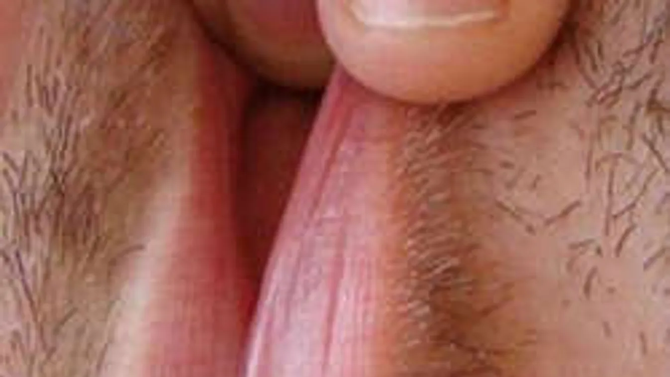 Mennyire piszkos a fantáziád? Mi tudjuk, hogy nagyon... Íme a bizonyíték!