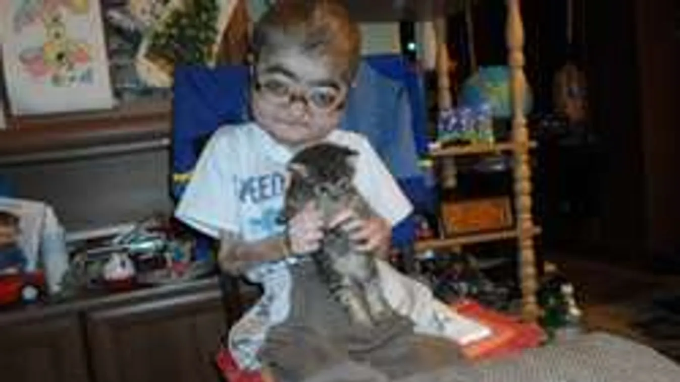 Szívszorító: képeslapokat kért születésnapjára a súlyosan beteg kisfiú