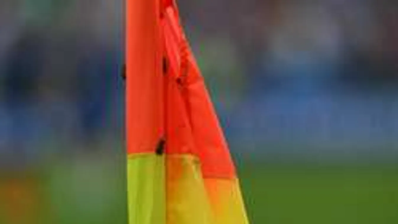 Ezért lepték el lepkék az Eb-döntőt