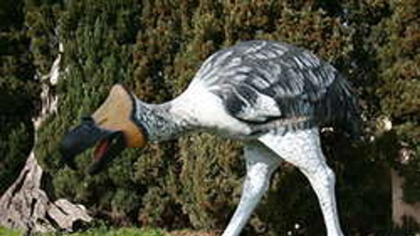 Megfejtették a gyilkoló terrormadarak titkát