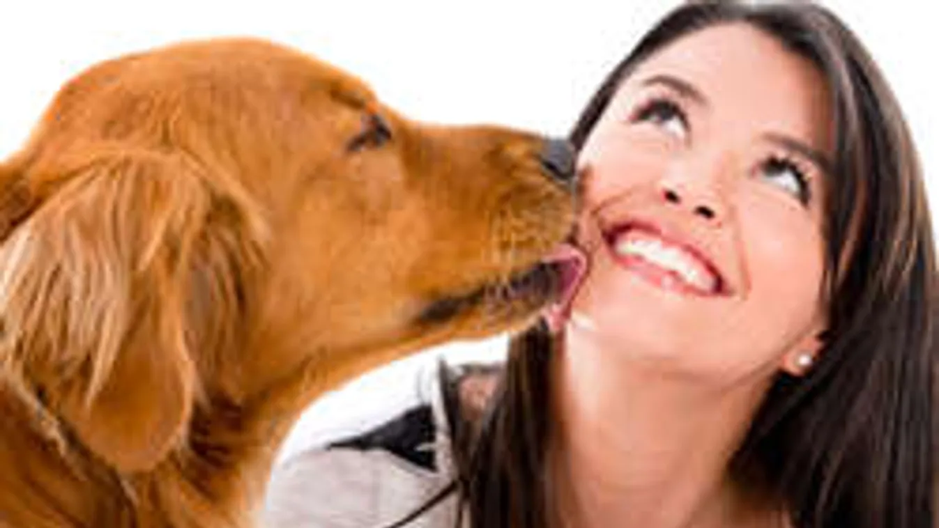 Ezért ne hagyd soha, hogy arcon nyaljon a kutyád