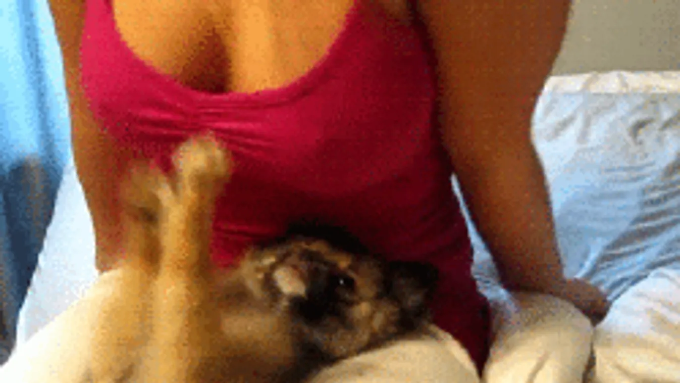 Mellbimbó-merevedés: a legszeszélyesebb izgalomforrás szex közben!