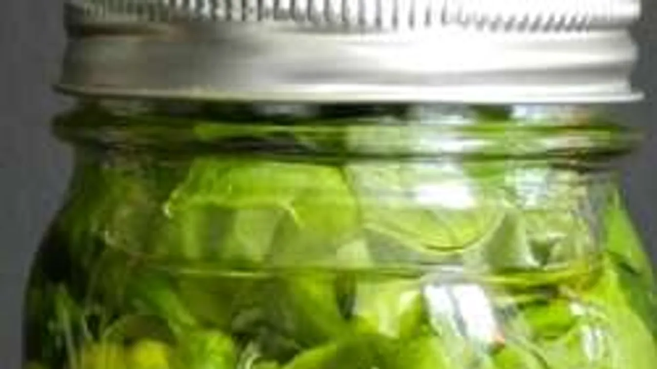 Így lehet friss bazsalikomod egész télen