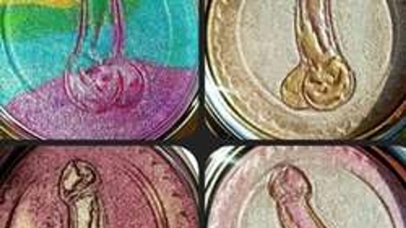 Itt a legújabb szépségtermék: intim-púder nemcsak nőknek!