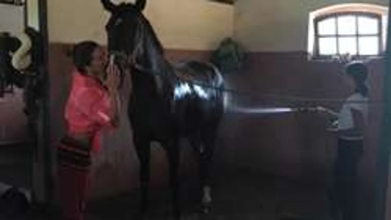 Szerepcsere: Rubint Réka edzőt fogadott, nem is akárkit!