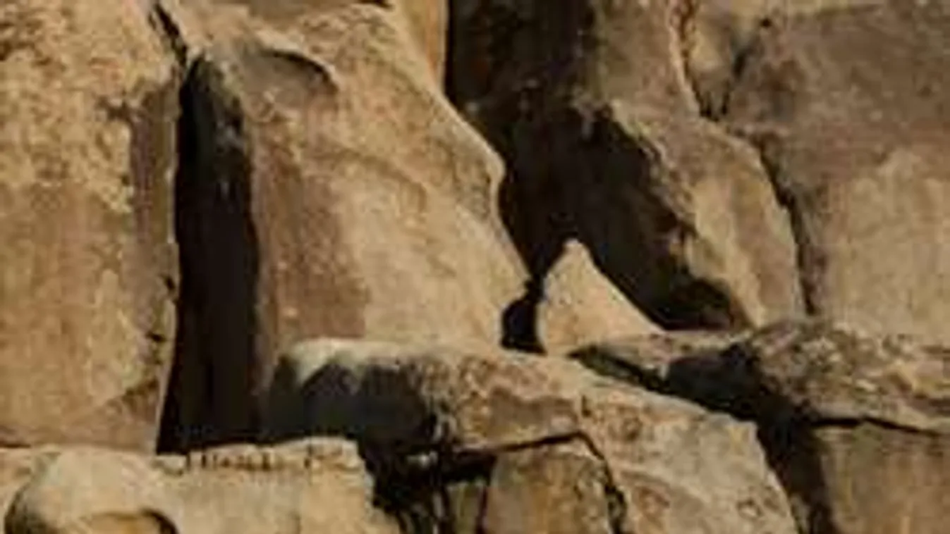 Megtalálod a gyereket a képen? - ezen pörög most az internet