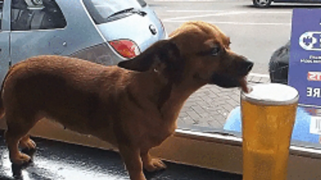 13 titok a sörről, amit ma muszáj megtudnod