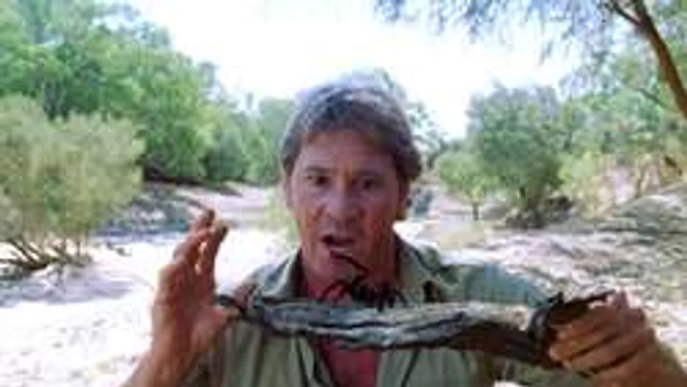 Kiderült: bedrogozva szenvedett halálos balesetet Steve Irwin