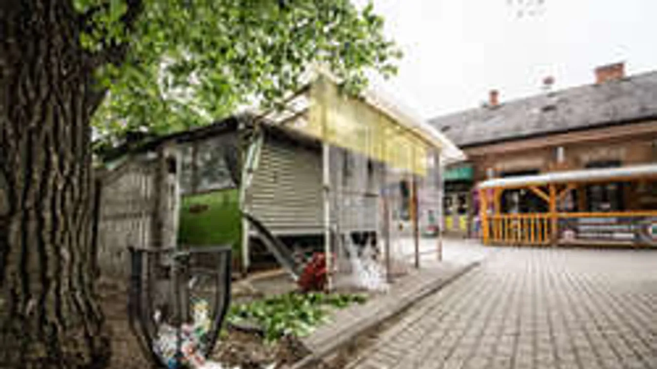 Friss: Elmegyógyintézetbe került a brutális kelenföldi erőszakoló