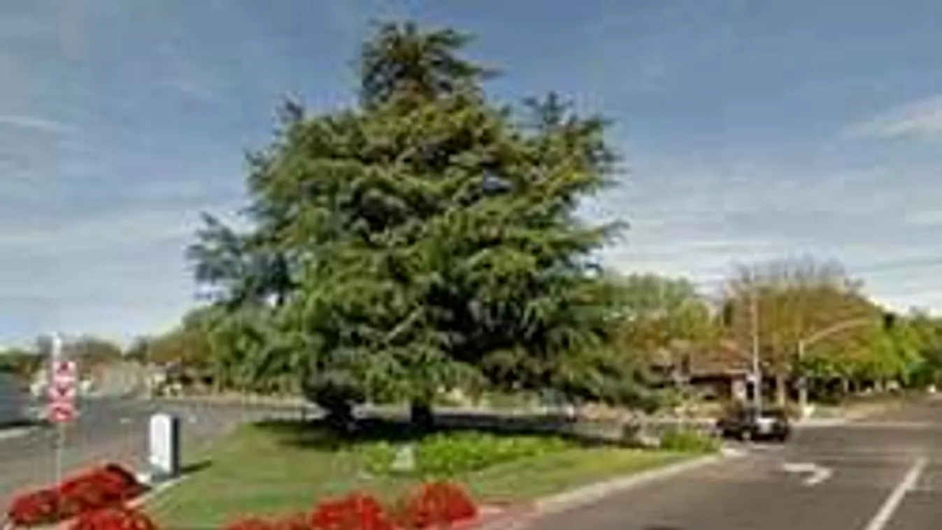 Forgalmas útkereszteződés közepén szexelt a pár