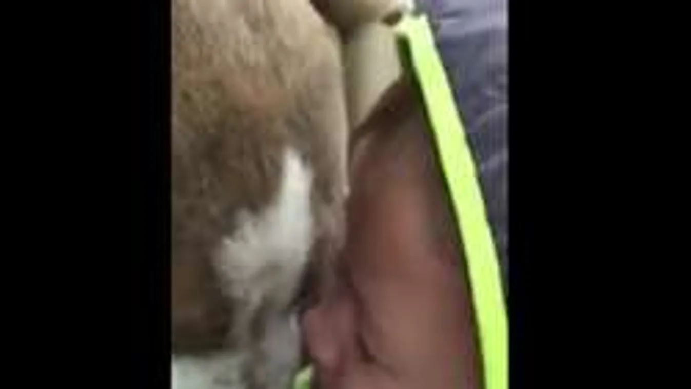 Így csak egy gyerek tud szeretni!