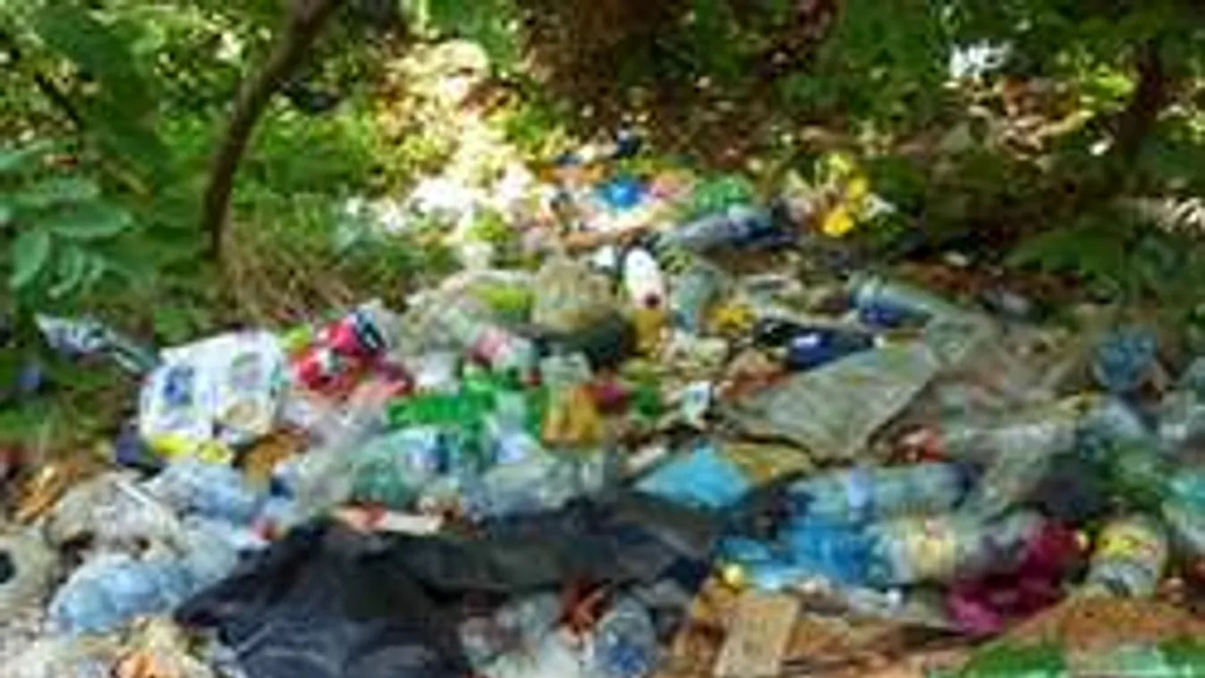 Hajléktalantanya és szeméttelep lett az egykor gyönyörű kiserdőből