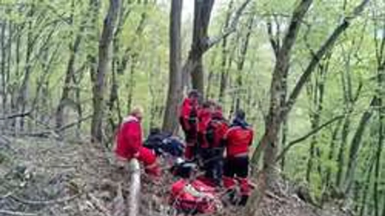 Friss információk az öngyilkos egri fiú haláláról!