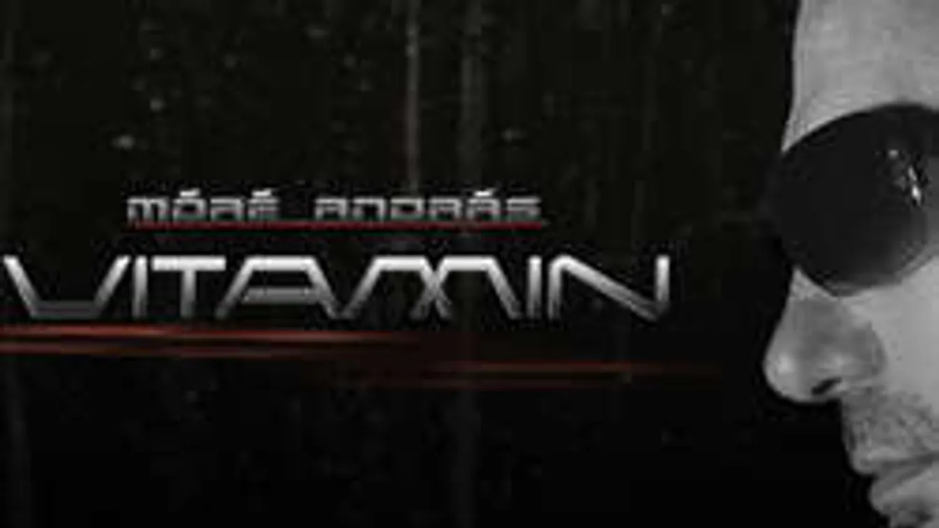 Akár 15 évet is kaphat a Happy Gang verekedő énekese