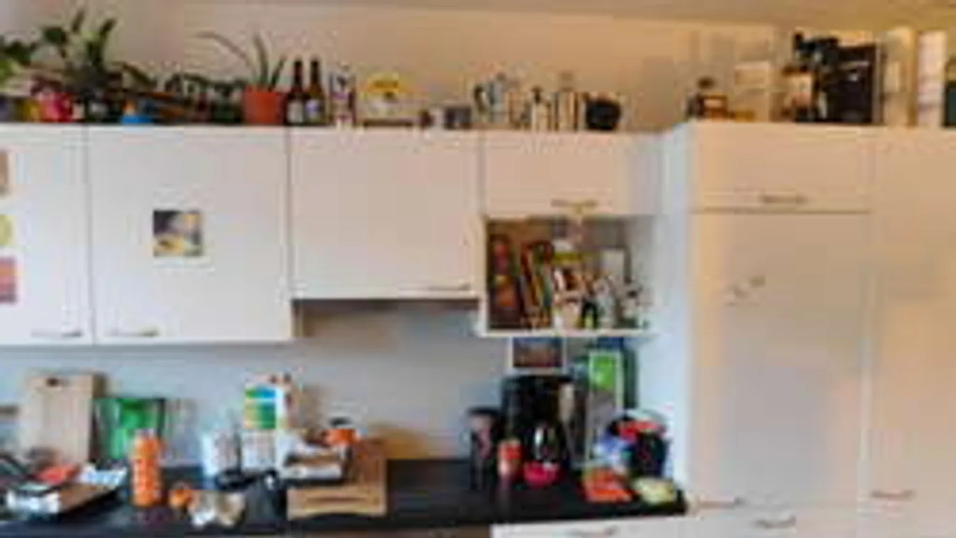 Megtalálod a cicát ezen a képen? A fél világ már rápörgött erre a fotóra