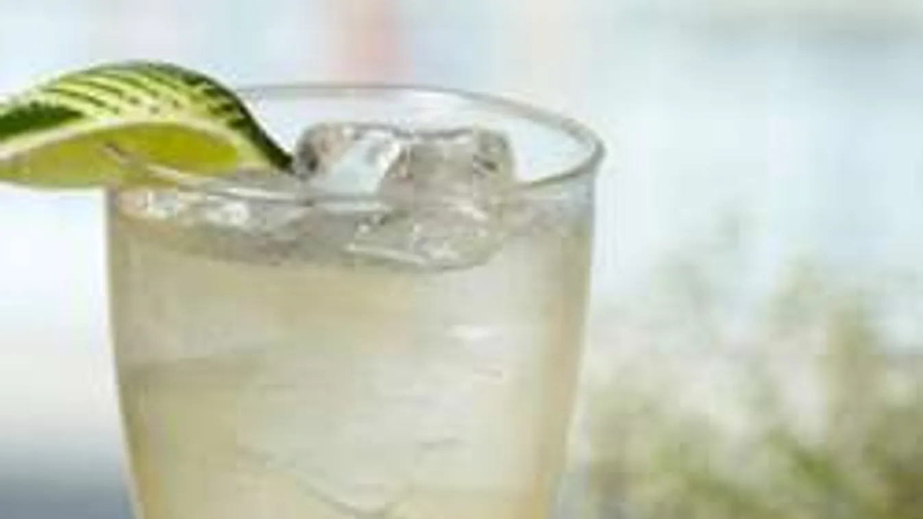 Wow: itt a világ legjobb állása: fizetnek azért, hogy fél évig igyál