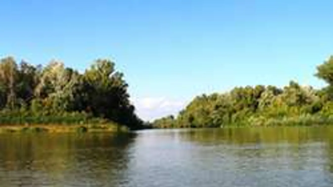 Igazi víziszörny akadt horogra a Tiszában!