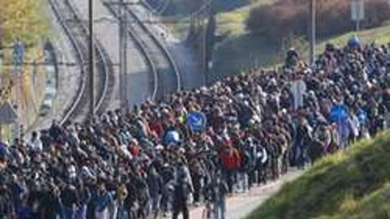 Csalódottak a németek: nem ezt várták a migránsoktól