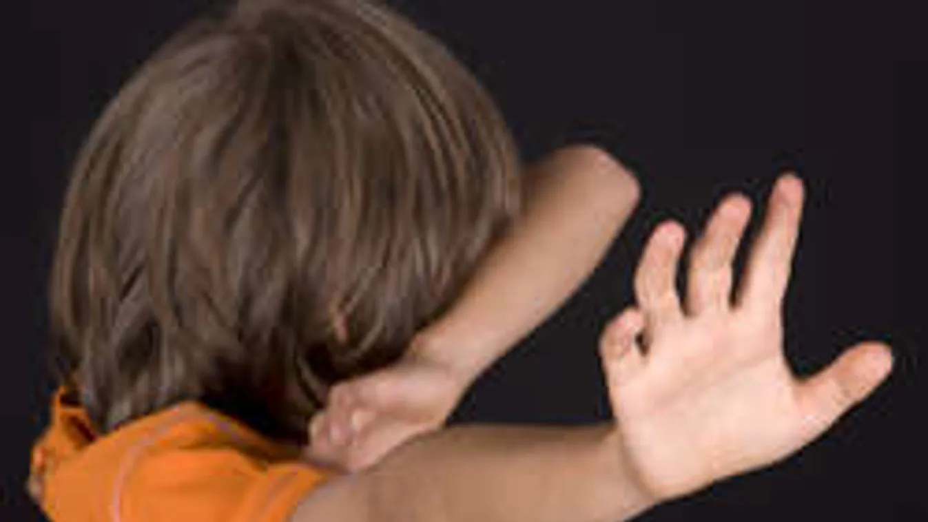 Négyéves kisfiút erőszakolt meg a migráns a mosdóban