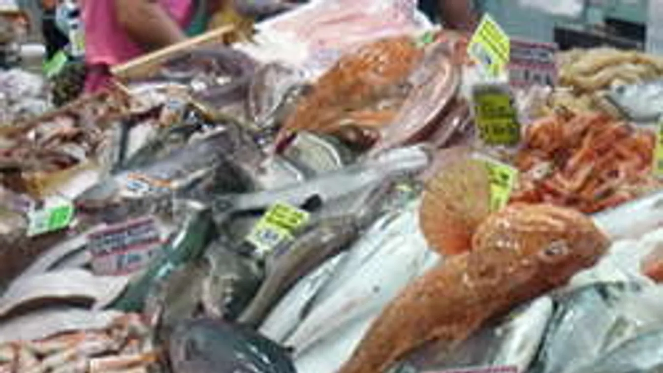 Csempészek: sugárszennyezett halakkal kereskedtek